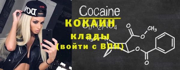 стафф Арсеньев