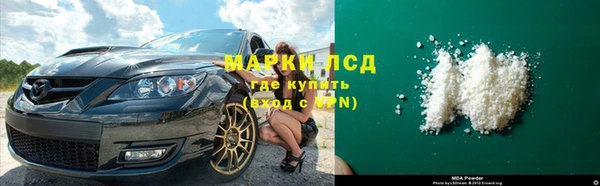 гашик Аркадак