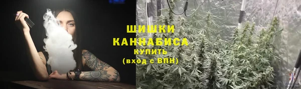гашик Аркадак