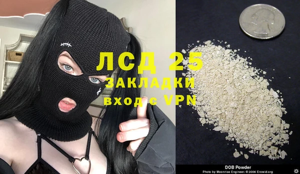 гашик Аркадак