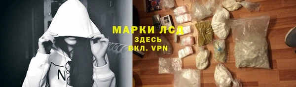 гашик Аркадак