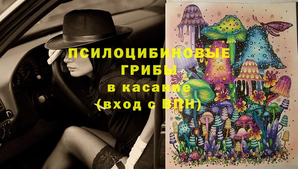 стафф Арсеньев