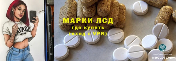 стафф Арсеньев